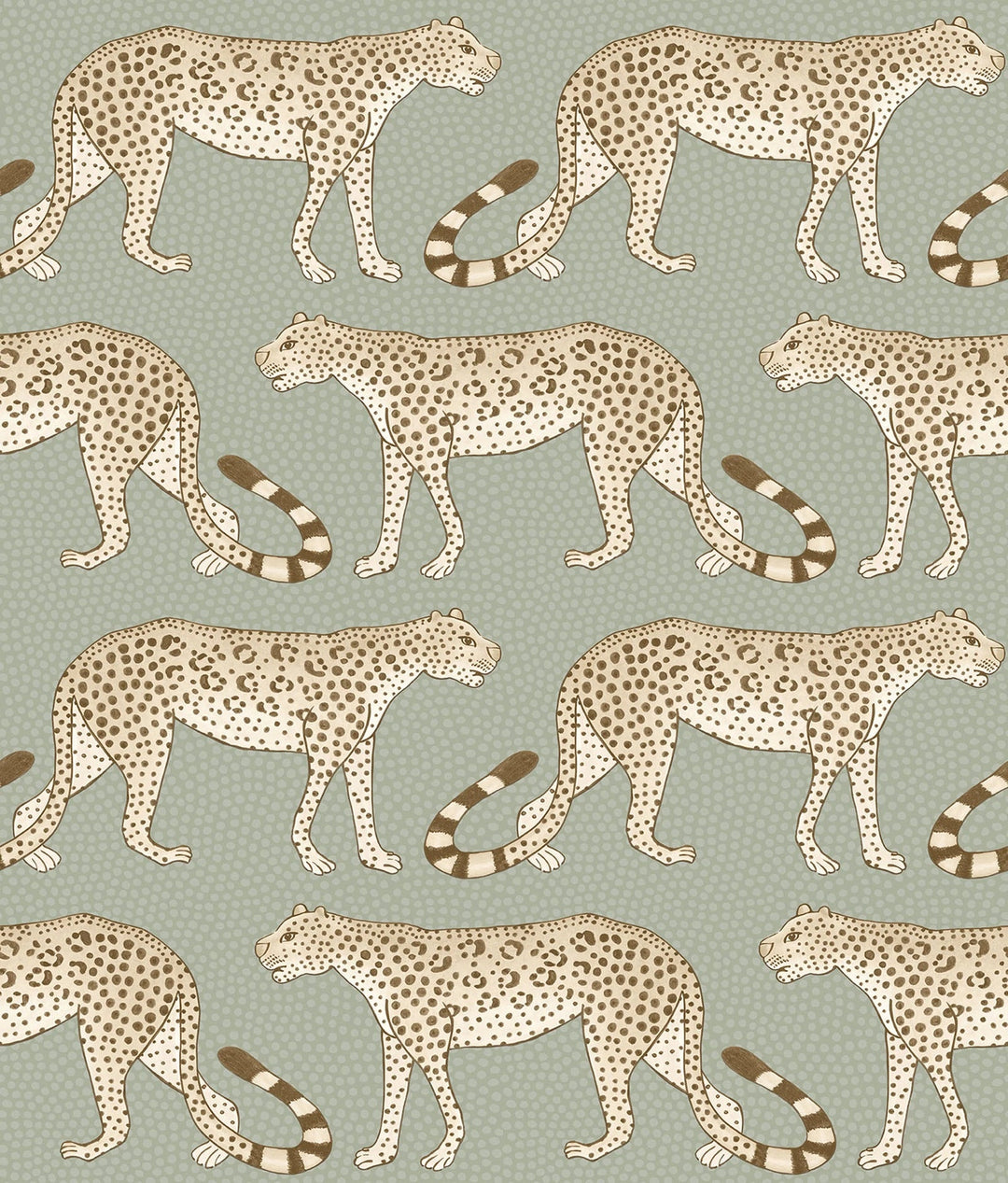Leopard Walk Wallpaper by Cole & Son - 109/2009 | Modern 2 Interiors
