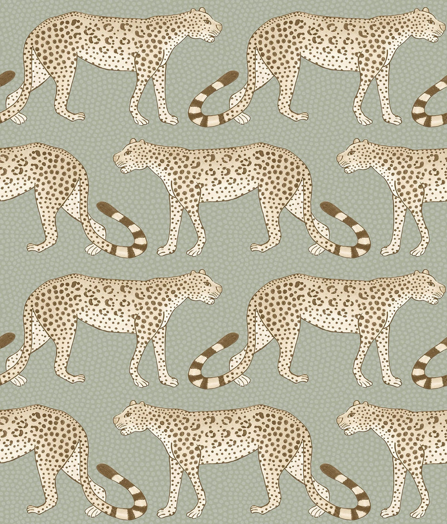 Leopard Walk Wallpaper by Cole & Son - 109/2009 | Modern 2 Interiors