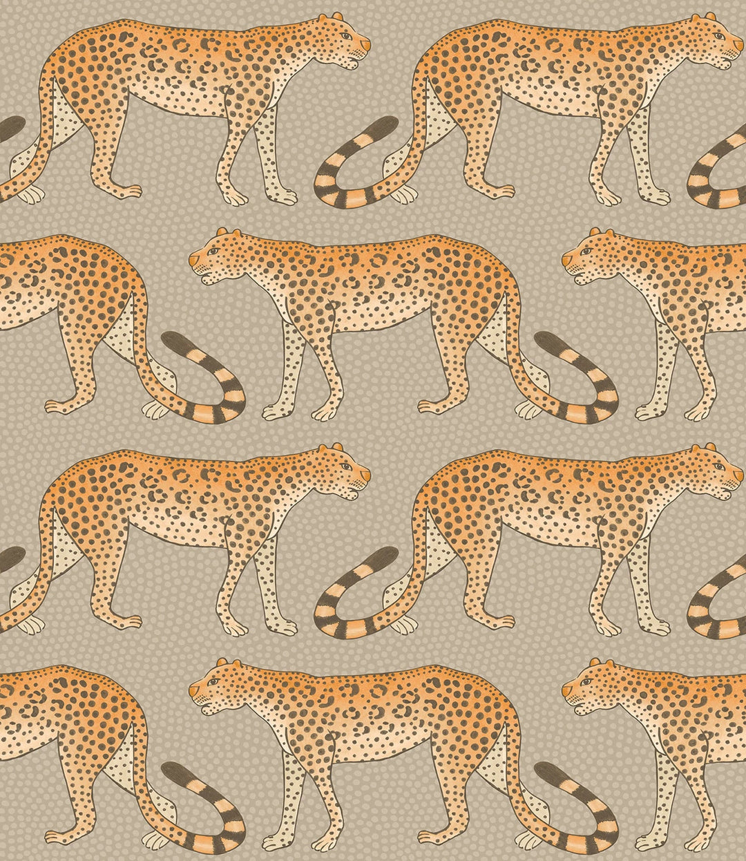Leopard Walk Wallpaper by Cole & Son - 109/2010 | Modern 2 Interiors