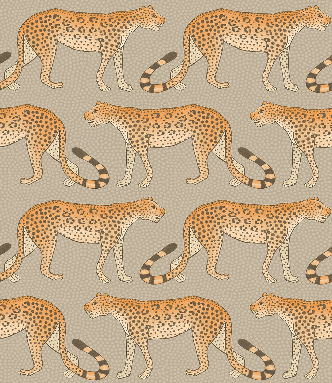 Leopard Walk Wallpaper by Cole & Son - 109/2010 | Modern 2 Interiors