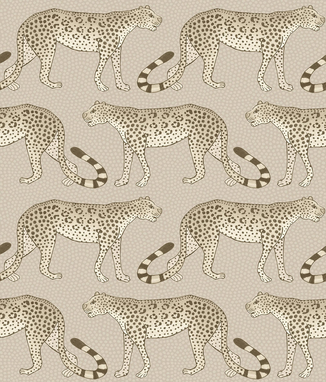 Leopard Walk Wallpaper by Cole & Son - 109/2012 | Modern 2 Interiors