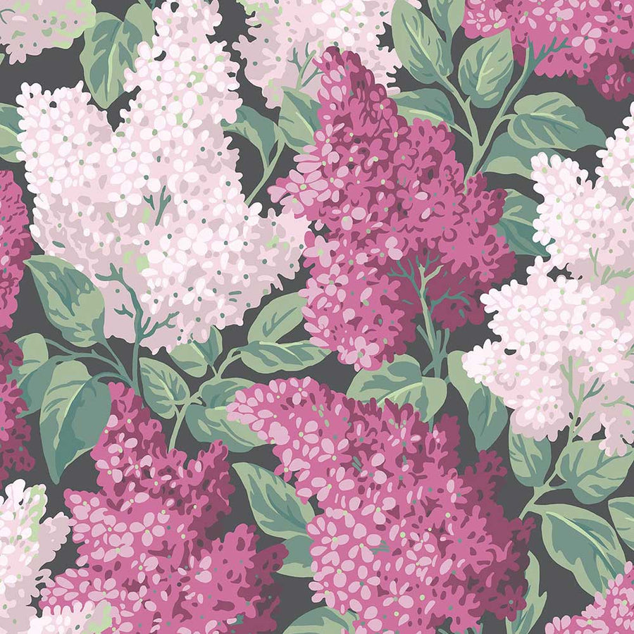 Lilac Wallpaper by Cole & Son - 115/1001 | Modern 2 Interiors