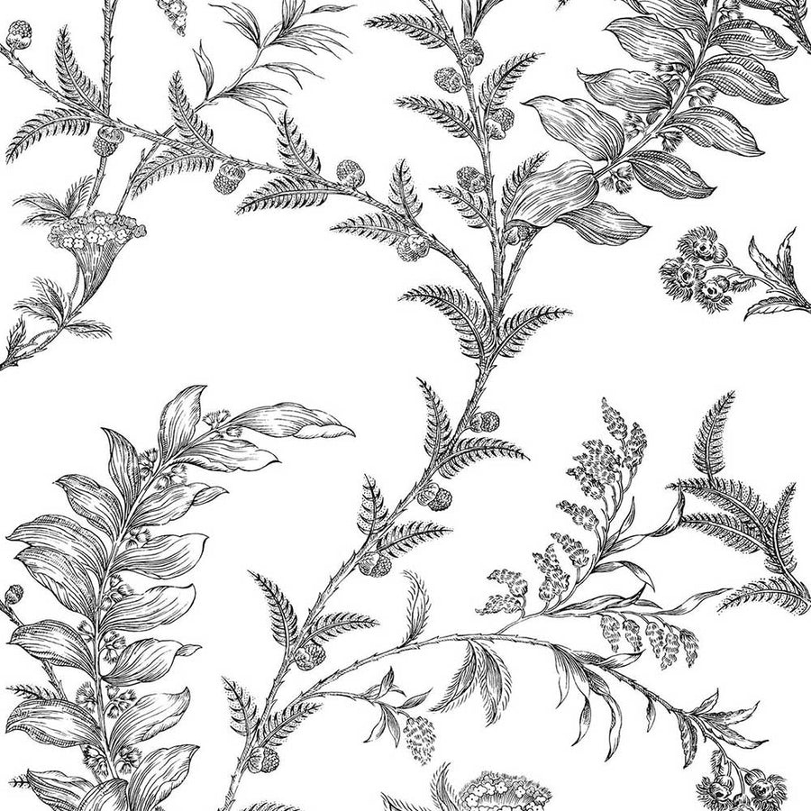 Ludlow Wallpaper by Cole & Son - 88/1005 | Modern 2 Interiors