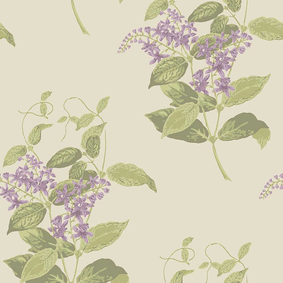 Madras Violet Wallpaper by Cole & Son - 100/12056 | Modern 2 Interiors