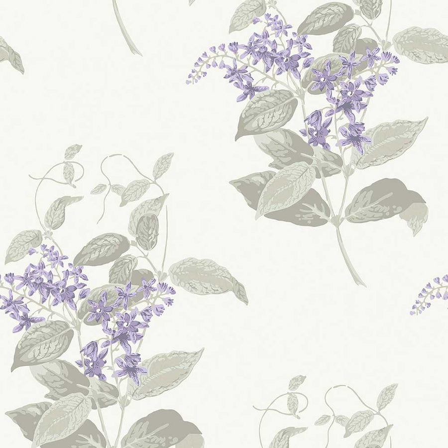 Madras Violet Wallpaper by Cole & Son - 100/12057 | Modern 2 Interiors