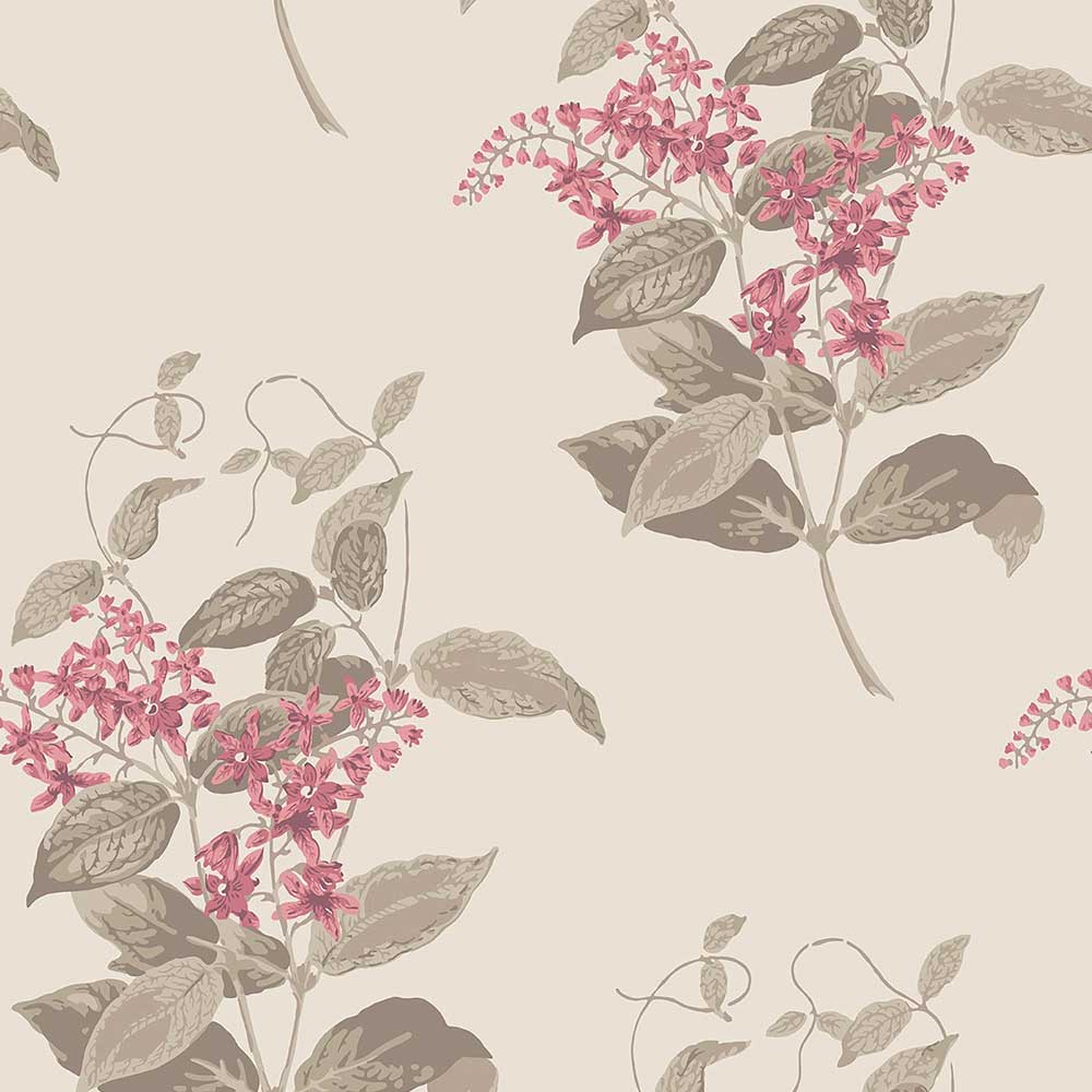 Madras Violet Wallpaper by Cole & Son - 100/12058 | Modern 2 Interiors