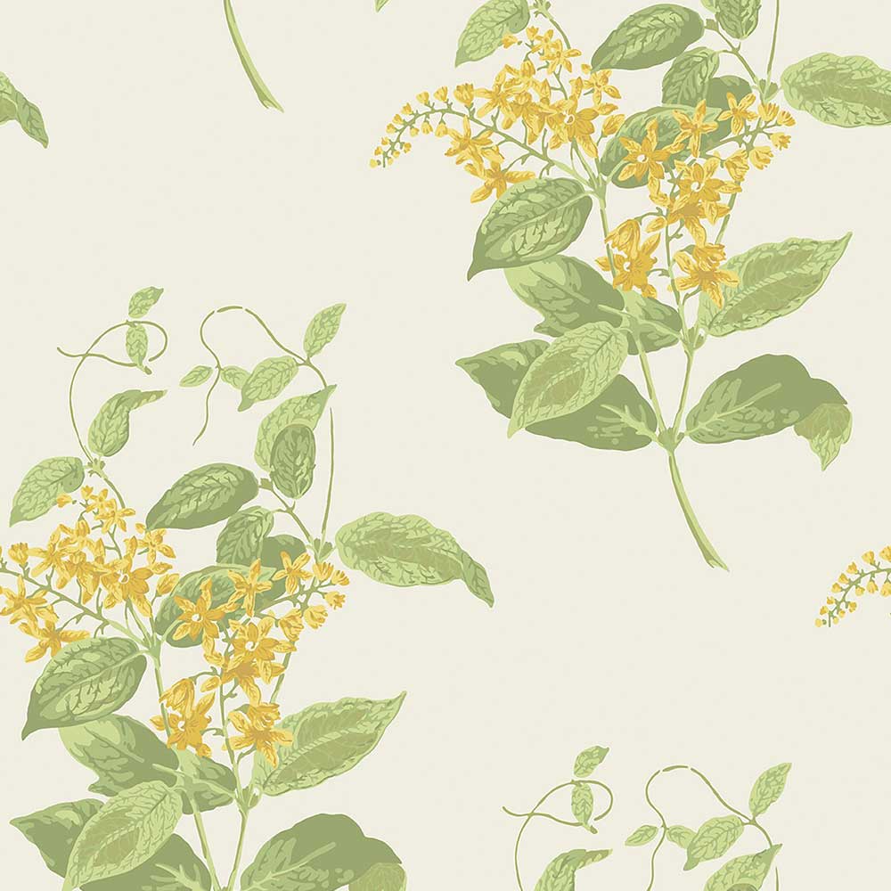 Madras Violet Wallpaper by Cole & Son - 100/12059 | Modern 2 Interiors