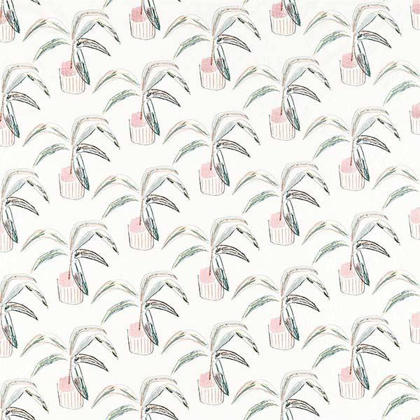 Crassula Blush Fabric by SCION - 132862 | Modern 2 Interiors