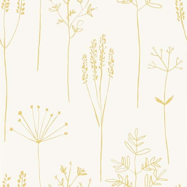 Stipa Honey Wallpaper by SCION - 112021 | Modern 2 Interiors