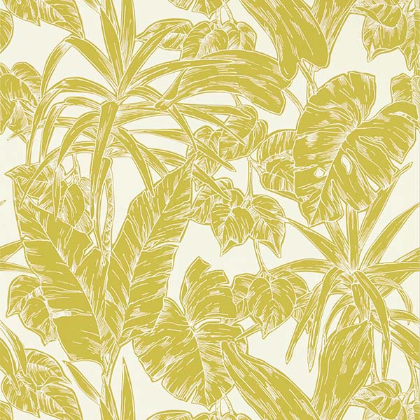 Parlour Palm Citrus Wallpaper by SCION - 112022 | Modern 2 Interiors