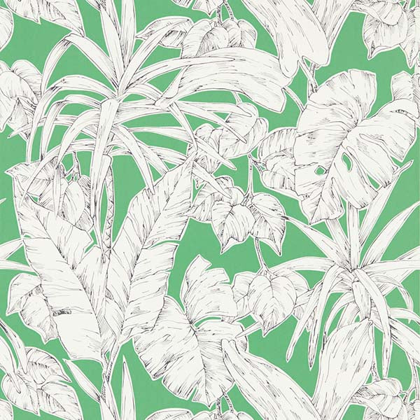 Parlour Palm Gecko Wallpaper by SCION - 112024 | Modern 2 Interiors