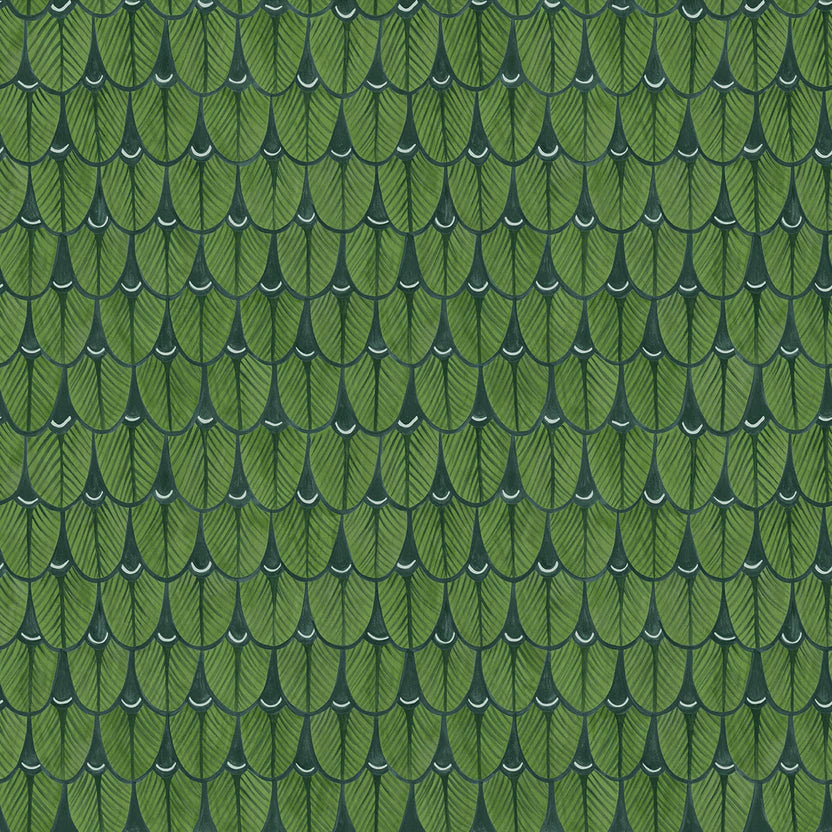 Narina Wallpaper by Cole & Son - 109/10045 | Modern 2 Interiors