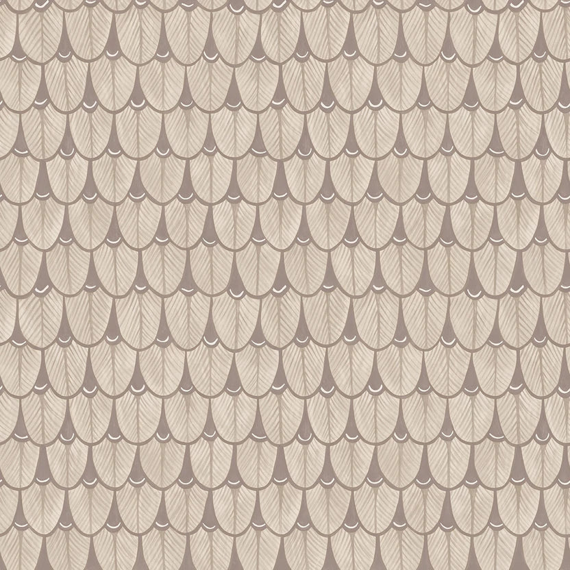 Narina Wallpaper by Cole & Son - 109/10049 | Modern 2 Interiors