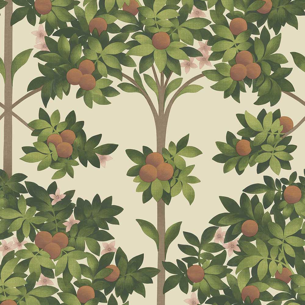 Orange Blossom Wallpaper by Cole & Son - 117/1001 | Modern 2 Interiors