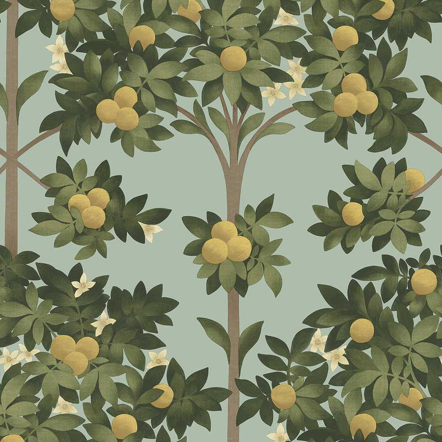 Orange Blossom Wallpaper by Cole & Son - 117/1002 | Modern 2 Interiors