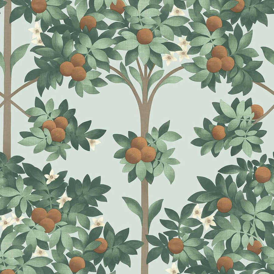 Orange Blossom Wallpaper by Cole & Son - 117/1004 | Modern 2 Interiors