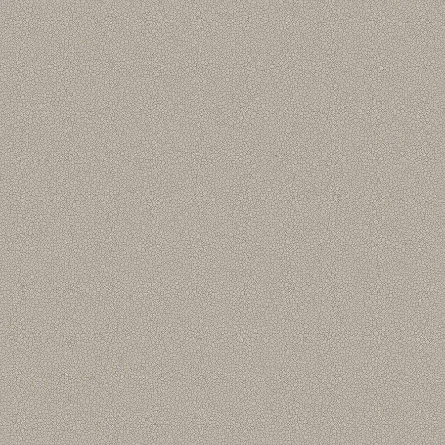 Pebble Wallpaper by Cole & Son - 106/2016 | Modern 2 Interiors