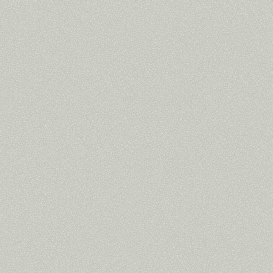 Pebble Wallpaper by Cole & Son - 106/2017 | Modern 2 Interiors