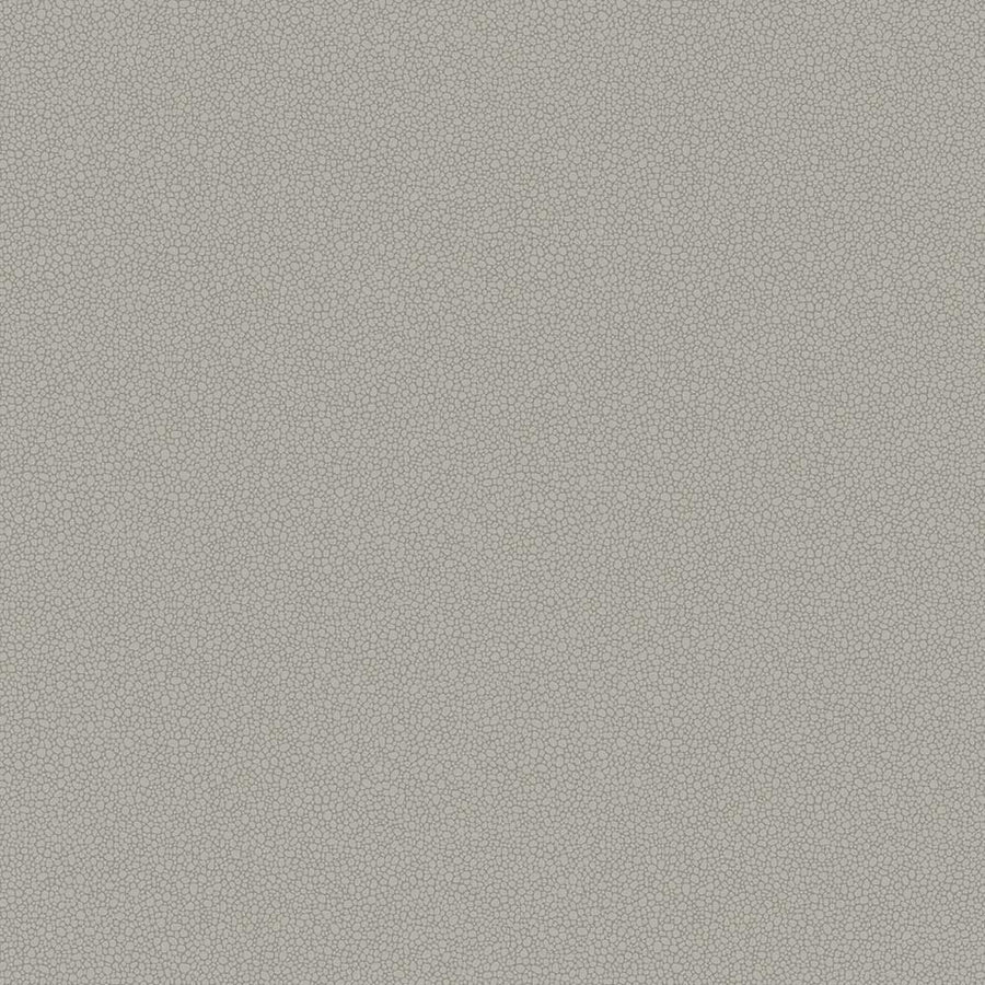 Pebble Wallpaper by Cole & Son - 106/2018 | Modern 2 Interiors