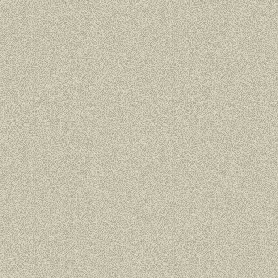 Pebble Wallpaper by Cole & Son - 106/2019 | Modern 2 Interiors