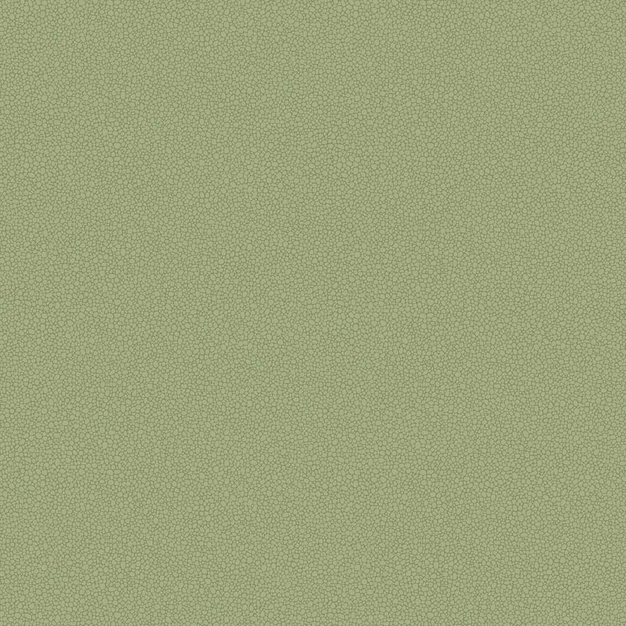 Pebble Wallpaper by Cole & Son - 106/2026 | Modern 2 Interiors