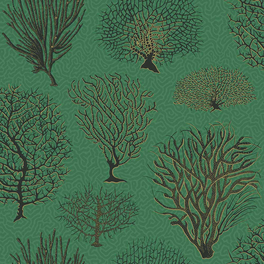 Seafern Wallpaper by Cole & Son - 107/2007 | Modern 2 Interiors