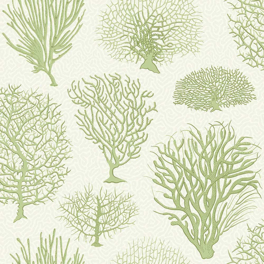 Seafern Wallpaper by Cole & Son - 107/2008 | Modern 2 Interiors