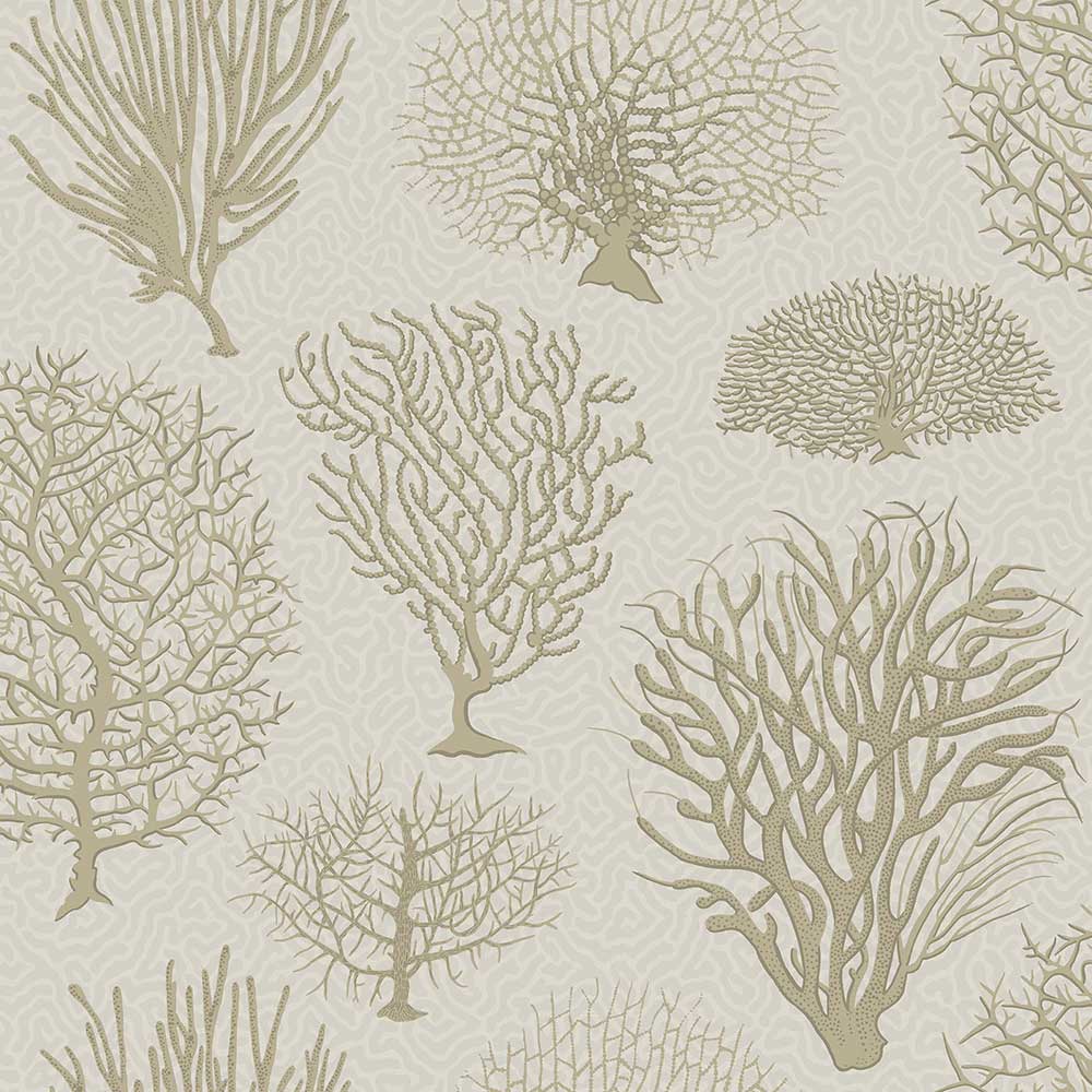 Seafern Wallpaper by Cole & Son - 107/2010 | Modern 2 Interiors