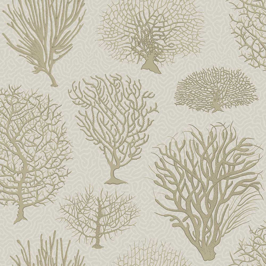 Seafern Wallpaper by Cole & Son - 107/2010 | Modern 2 Interiors