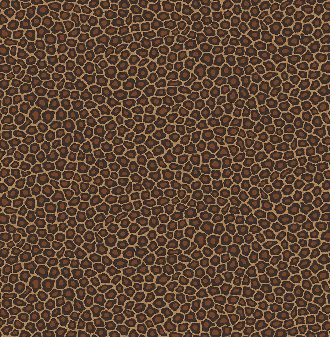 Senzo Spot Wallpaper by Cole & Son - 109/6028 | Modern 2 Interiors