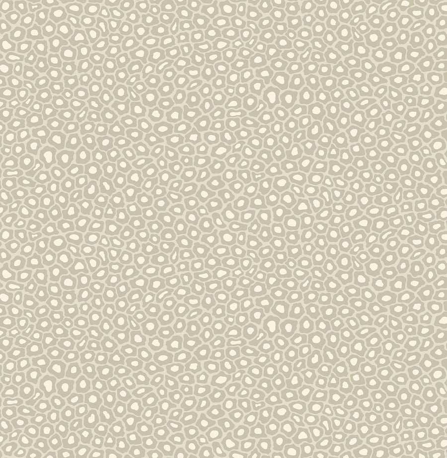 Senzo Spot Wallpaper by Cole & Son - 109/6030 | Modern 2 Interiors