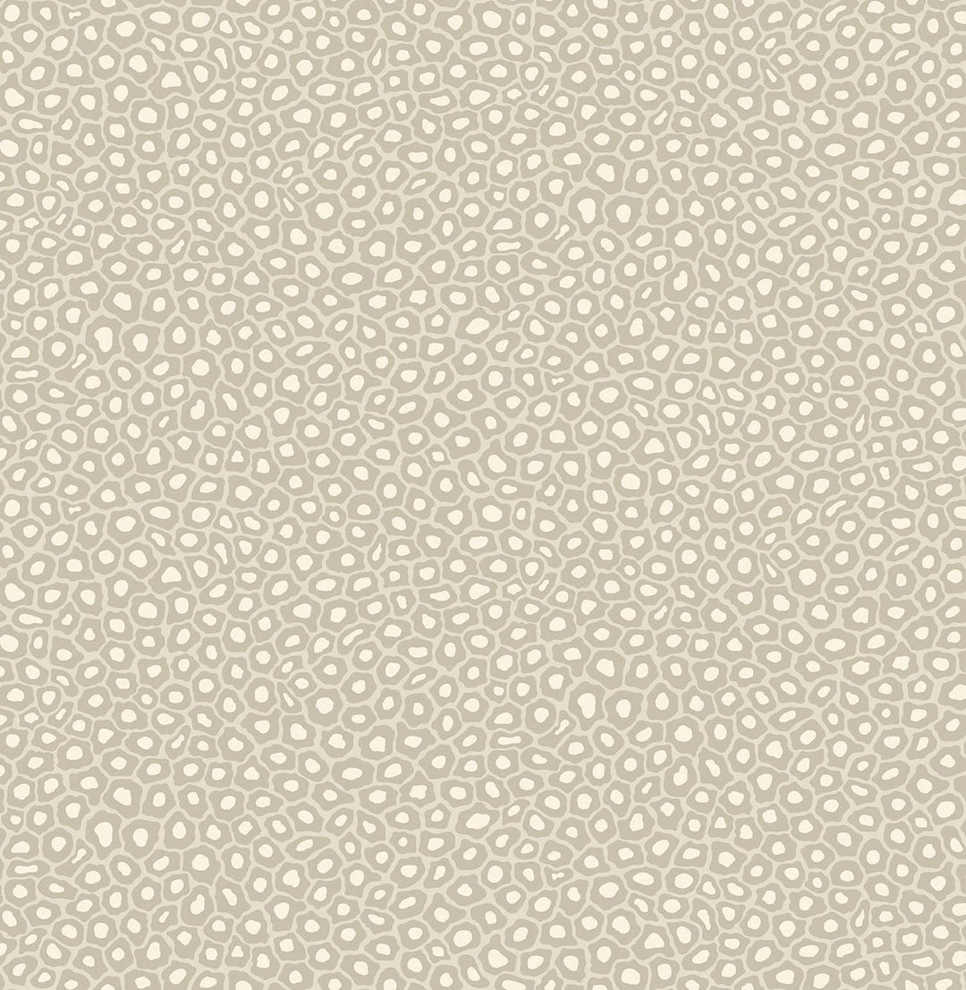 Senzo Spot Wallpaper by Cole & Son - 109/6030 | Modern 2 Interiors