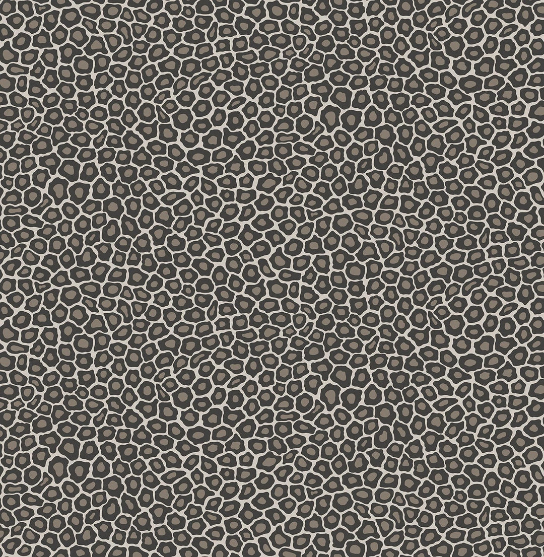 Senzo Spot Wallpaper by Cole & Son - 109/6031 | Modern 2 Interiors