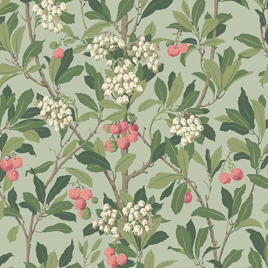 Strawberry Tree Wallpaper by Cole & Son - 100/10048 | Modern 2 Interiors