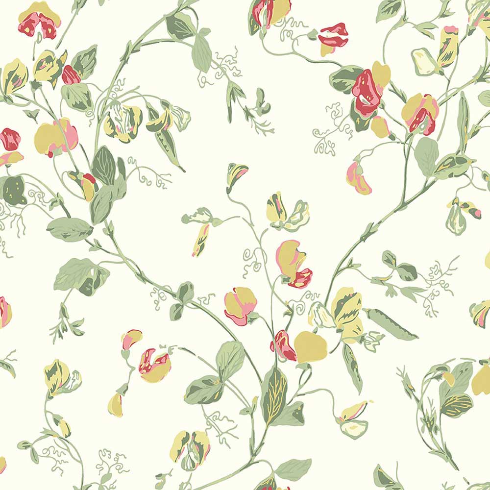 Sweet Pea Archive Anthology Wallpaper by Cole & Son - 100/6027 | Modern 2 Interiors