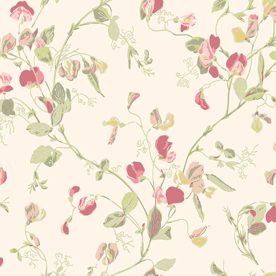 Sweet Pea Archive Anthology Wallpaper by Cole & Son - 100/6028 | Modern 2 Interiors