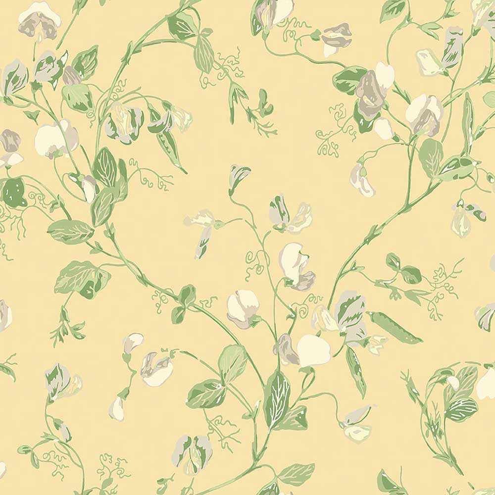 Sweet Pea Archive Anthology Wallpaper by Cole & Son - 100/6029 | Modern 2 Interiors