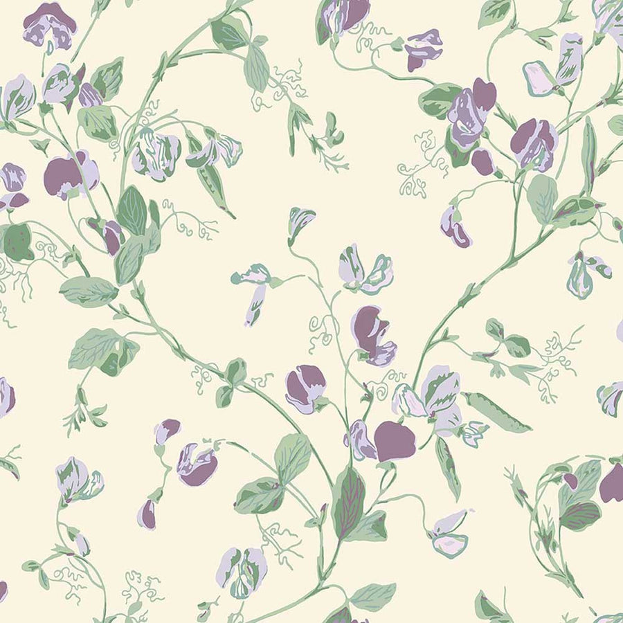 Sweet Pea Archive Anthology Wallpaper by Cole & Son - 100/6030 | Modern 2 Interiors