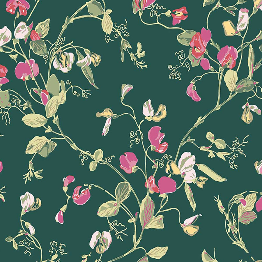 Sweet Pea Wallpaper by Cole & Son - 115/11033 | Modern 2 Interiors