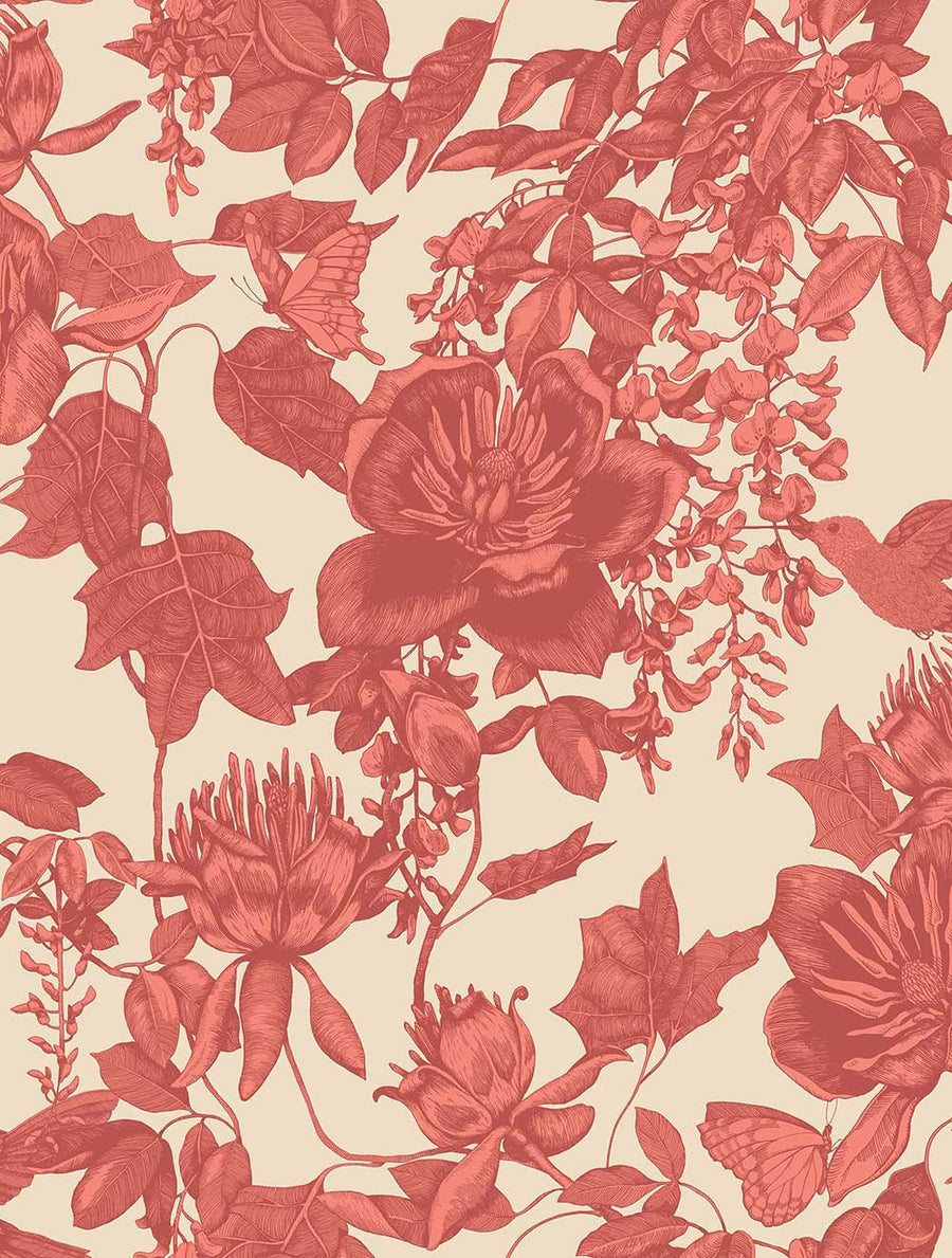 Tivoli Wallpaper by Cole & Son - 99/7033 | Modern 2 Interiors