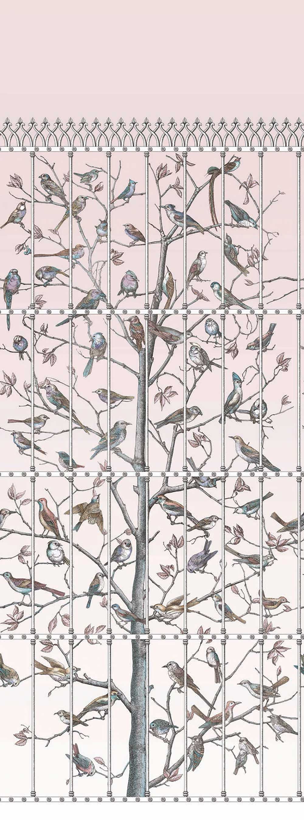 Uccelli Wallpaper by Cole & Son - 114/11022 | Modern 2 Interiors