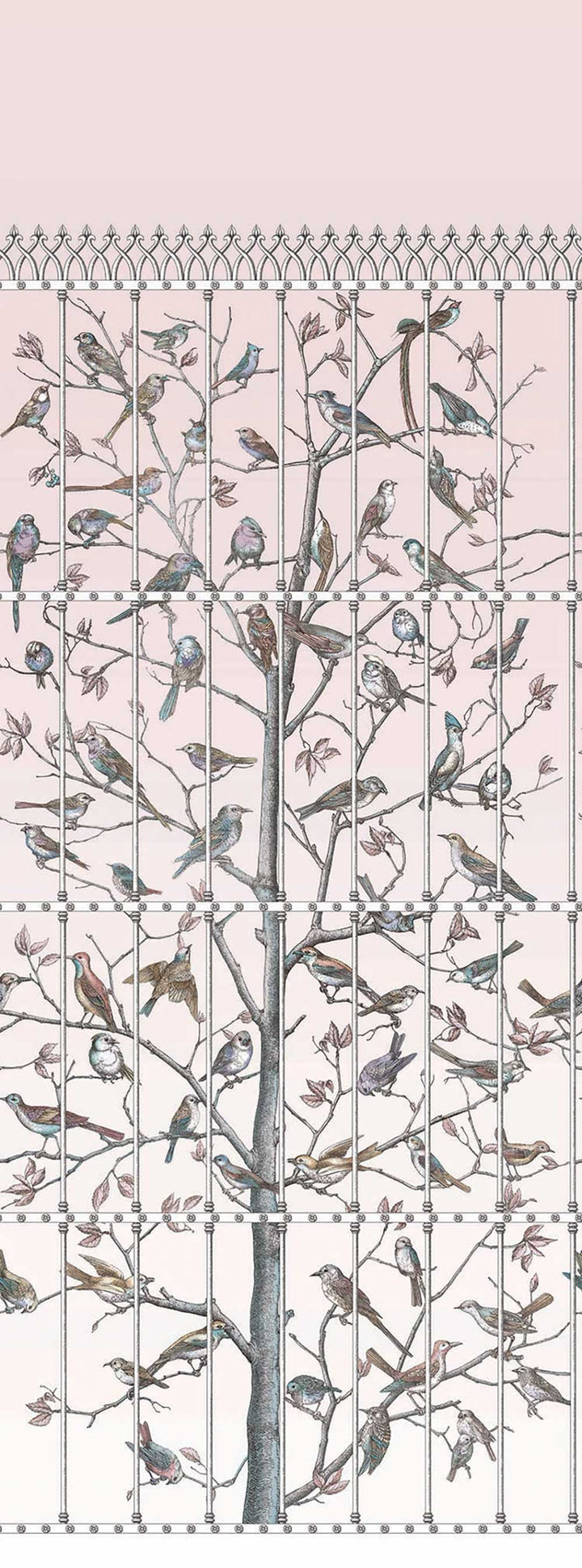 Uccelli Wallpaper by Cole & Son - 114/11022 | Modern 2 Interiors
