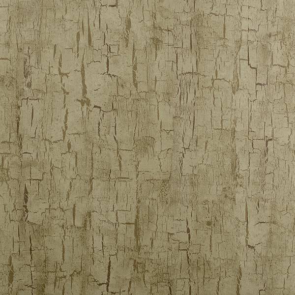 Treebark Antique Wallpaper By Clarke & Clarke - W0062/01 | Modern 2 Interiors