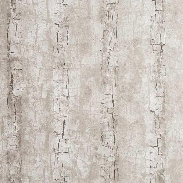Treebark Birch Wallpaper By Clarke & Clarke - W0062/02 | Modern 2 Interiors