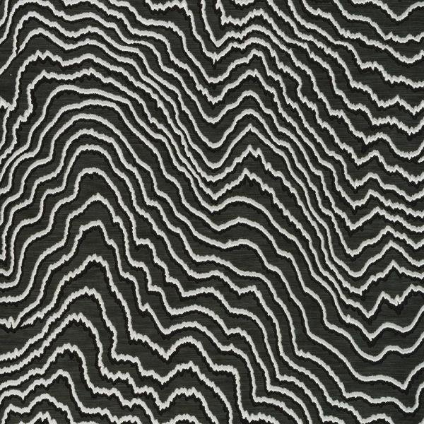 Fiji Charcoal Wallpaper By Clarke & Clarke - W0082/01 | Modern 2 Interiors