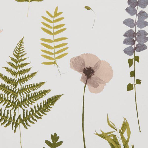 Herbarium Blush Wallpaper By Clarke & Clarke - W0091/01 | Modern 2 Interiors