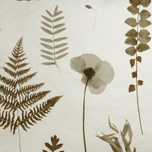 Herbarium Charcoal & Gold Wallpaper By Clarke & Clarke - W0091/02 | Modern 2 Interiors