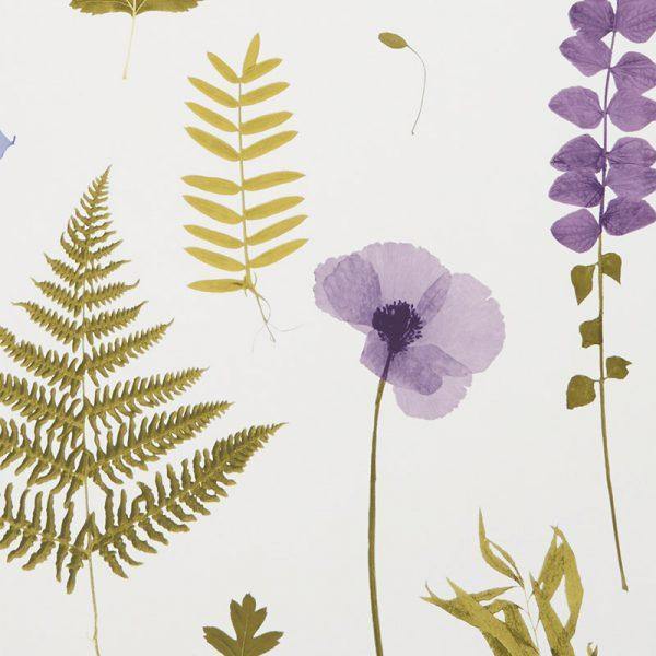 Herbarium Heather Wallpaper By Clarke & Clarke - W0091/03 | Modern 2 Interiors