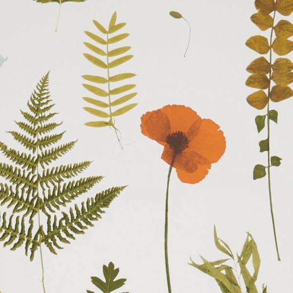 Herbarium Multi & Ivory Wallpaper By Clarke & Clarke - W0091/04 | Modern 2 Interiors