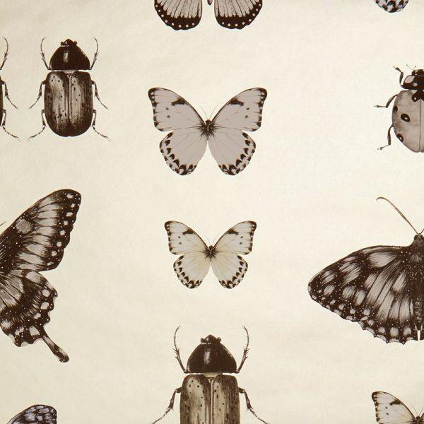 Papilio Charcoal & Gold Wallpaper By Clarke & Clarke - W0094/01 | Modern 2 Interiors
